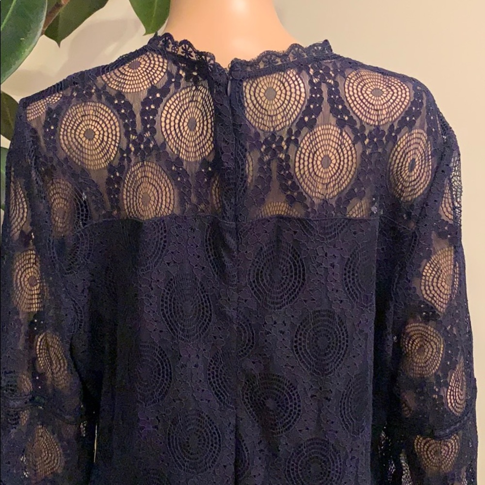 Beautiful Lace Overlay Dress - Picture 8 of 8